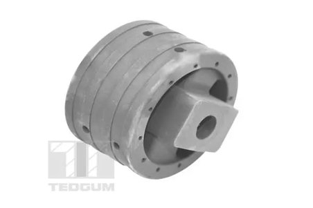 Suport motor Tedgum 00741004