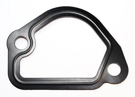 Garnitura, flansa lichid racire Elring 008.921