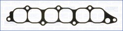 GARNITURA GALERIE ADMISIE AJUSA 00816800 - Compatibil cu HYUNDAI, MITSUBISHI