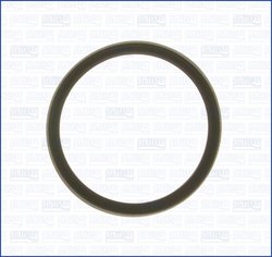 Garnitura termostat Ajusa 00975700