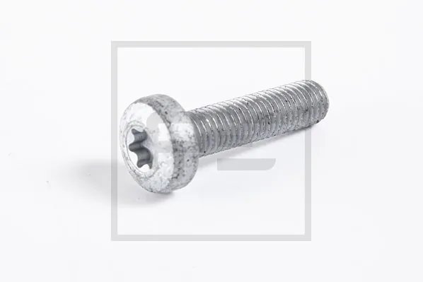 Surub PE Automotive 010.863-10A