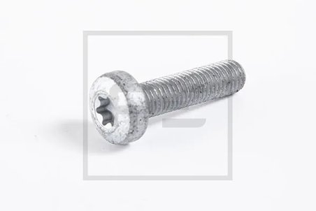 Surub PE Automotive 010.863-10A