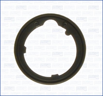 Garnitura termostat Ajusa 01106800