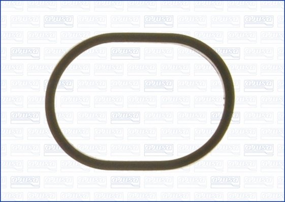 Garnitura termostat Ajusa 01183900