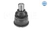 Pivot Meyle 016 010 6301