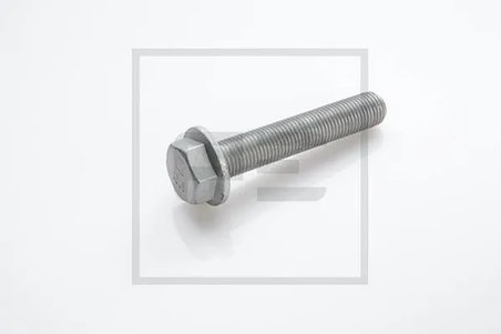 Surub, disc frana PE Automotive 016.642-00A