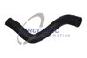 Furtun radiator Trucktec Automotive 02.40.072