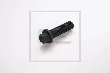 Surub PE Automotive 031.374-00A