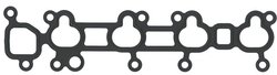 GARNITURA GALERIE ADMISIE ELRING 034.500 - Compatibil cu MITSUBISHI