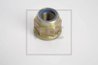 piulita pentru brida PE Automotive 035.316-00A