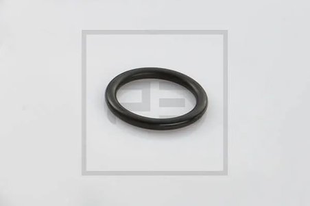 Inel etansare PE Automotive 036.621-00A