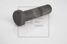 Bolt roata PE Automotive 037.017-00A