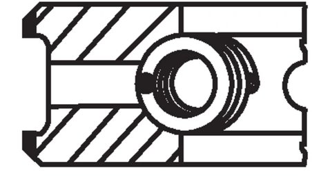 Set segmenti piston MAHLE 038 73 N0