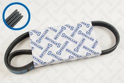 Curea transmisie Stellox 04-00860-SX
