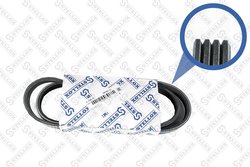Curea transmisie Stellox 04-01065-SX