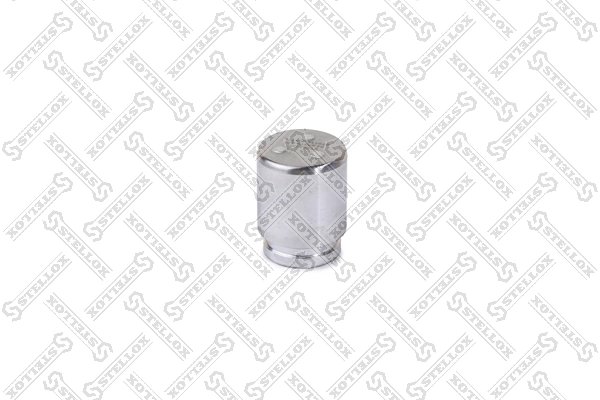 PISTON ETRIER FRANA STELLOX 04-98319-SX - Compatibil cu ACURA, BMW, CHRYSLER, CITROEN, INFINITI, LANCIA, MITSUBISHI, NISSAN, PEU