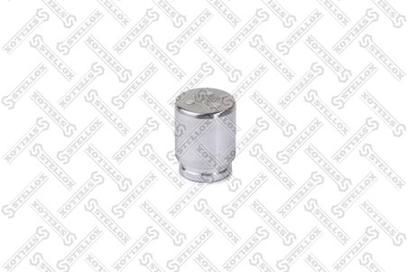 PISTON ETRIER FRANA STELLOX 04-98319-SX - Compatibil cu ACURA, BMW, CHRYSLER, CITROEN, INFINITI, LANCIA, MITSUBISHI, NISSAN, PEU