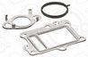 Set garnituri sistem EGR Elring 041.350