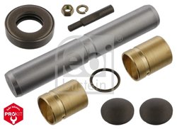 Set reparatie pivot Febi Bilstein 04295