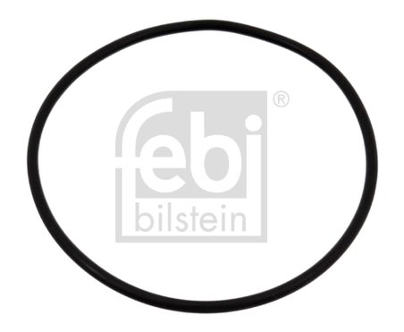 Inel De Etansare, pompa de apa Febi Bilstein 04734