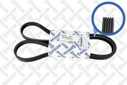 Curea transmisie Stellox 05-01570-SX