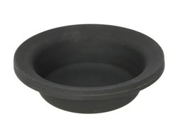 MEMBRANA CILINDRU FRANA SBP 05-DMT9 - Compatibil cu SCANIA