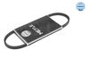 Curea transmisie Meyle 050 003 0675