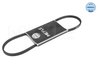 Curea transmisie Meyle 050 003 0860