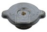 Buson vas expansiune Febi Bilstein 05420