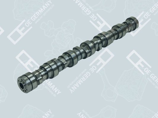 Ax cu came OE Germany 06 0500 XF8500