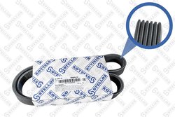 CUREA TRANSMISIE STELLOX 06-00950-SX - Compatibil cu AUDI, CITROEN, FERRARI, FIAT, FORD, HONDA, HYUNDAI, KIA, MAZDA, MERCEDES-BE