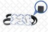 CUREA TRANSMISIE STELLOX 06-01000-SX - Compatibil cu AUDI, BMW, CITROEN, FORD, HONDA, MERCEDES-BENZ, PEUGEOT, PORSCHE, SEAT, SKO