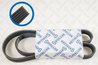 Curea transmisie Stellox 06-01173-SX