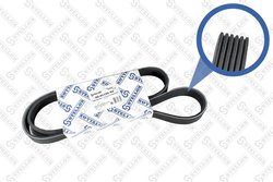 Curea transmisie Stellox 06-01195-SX