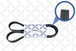 Curea transmisie Stellox 06-01435-SX