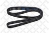 CUREA TRANSMISIE STELLOX 06-01520-SX - Compatibil cu CHEVROLET, FORD, OLDSMOBILE, PONTIAC, SEAT, SKODA, SUBARU, VW