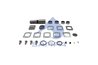 SET REPARATIE PIVOT SAMPA 060.547 - Compatibil cu IVECO