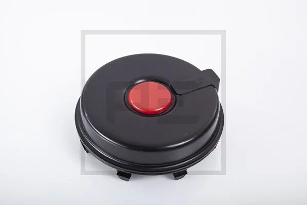 Capac rulment roata PE Automotive 066.074-00A