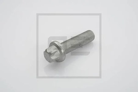 Surub PE Automotive 066.249-00A