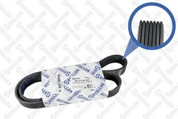 Curea transmisie Stellox 07-11125-SX
