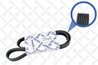 Curea transmisie Stellox 07-11145-SX