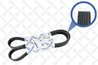 CUREA TRANSMISIE STELLOX 08-01440-SX - Compatibil cu VOLVO