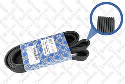 Curea transmisie Stellox 08-02034-SX