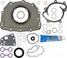 SET GARNITURI CARTER VICTOR REINZ 08-37726-01 - Compatibil cu CHRYSLER, FREIGHTLINER, JEEP, MERCEDES-BENZ
