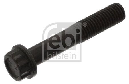 Surub, placa de presiune Febi Bilstein 08213