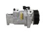Compresor climatizare PSH 090.165.021.200