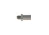 Supapa limitare presiune, sistem Common-Rail BOSCH 1 110 010