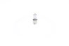 Bec, semnalizator BOSCH 1 987 301 035