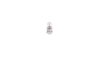 Bec incandescent BOSCH 1 987 302 508