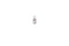 Bec incandescent BOSCH 1 987 302 508